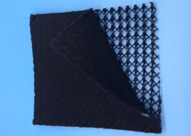 Landfill Drainage Geocomposite Drainage Net 3D Geonet Composite Geotextile