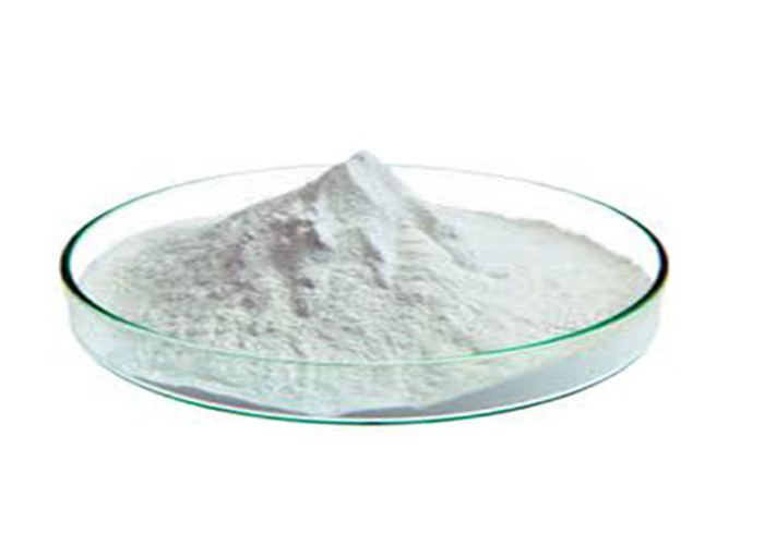 CAS 9004-53-9 Organic Resistant Dextrin Soluble Maize Fibre